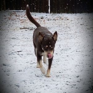 Meet your Posher, Leaanna